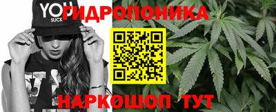 стафф Коммунар