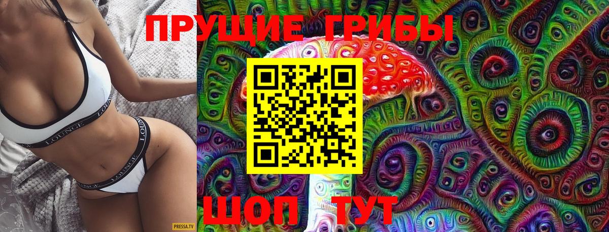 Псилоцибиновые грибы GOLDEN TEACHER Благовещенск