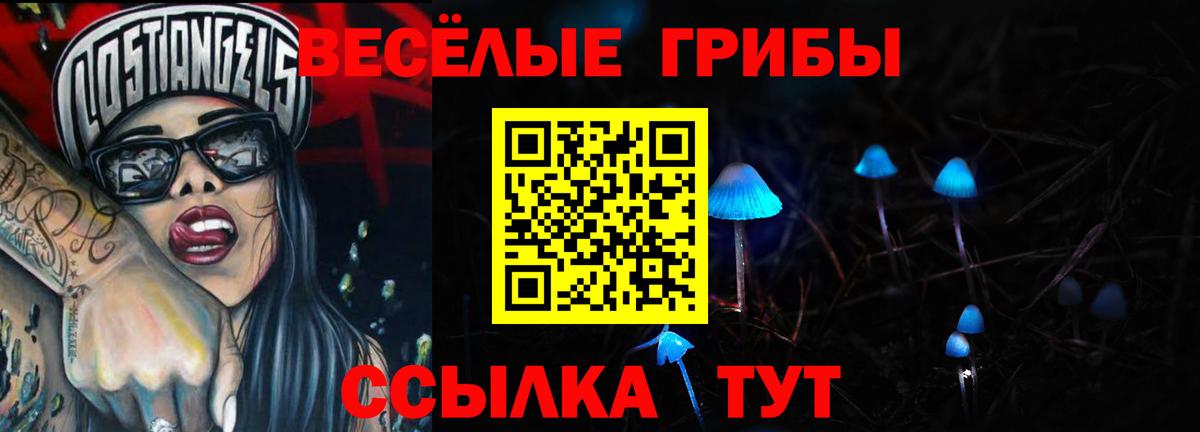 Благовещенск  как найти наркотики  Вход с VPN  Псилоцибиновые грибы Psilocybe 
